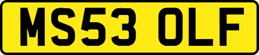 MS53OLF