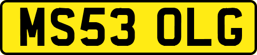 MS53OLG