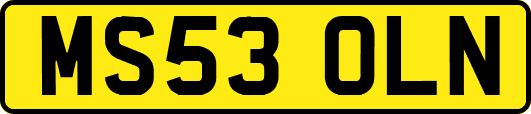 MS53OLN