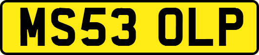 MS53OLP