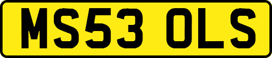 MS53OLS
