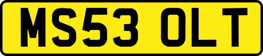 MS53OLT