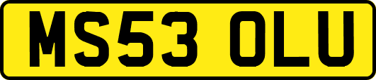 MS53OLU