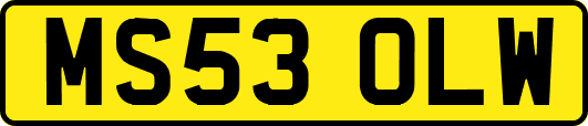 MS53OLW