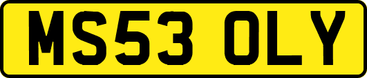 MS53OLY
