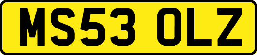 MS53OLZ