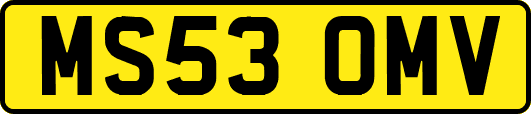 MS53OMV