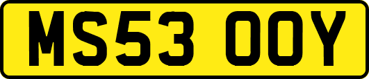 MS53OOY