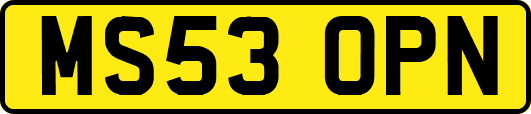 MS53OPN