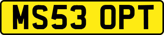 MS53OPT