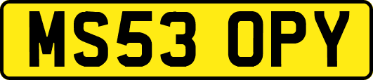 MS53OPY