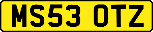 MS53OTZ