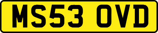 MS53OVD