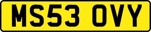 MS53OVY
