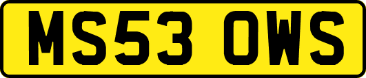 MS53OWS