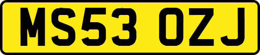 MS53OZJ
