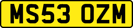 MS53OZM