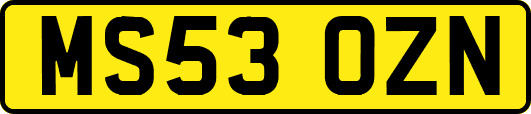 MS53OZN