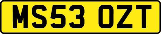 MS53OZT
