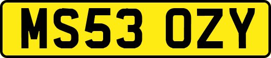 MS53OZY