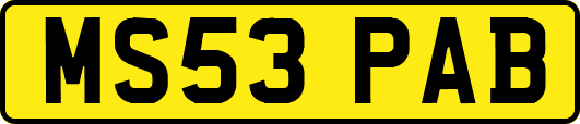 MS53PAB