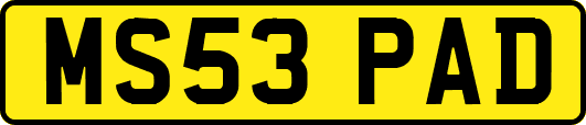 MS53PAD