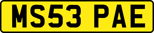 MS53PAE
