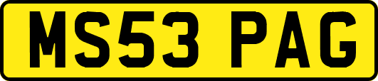 MS53PAG