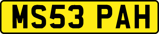 MS53PAH
