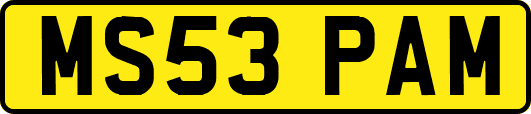 MS53PAM