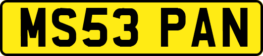 MS53PAN