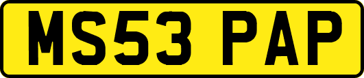 MS53PAP