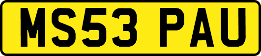 MS53PAU