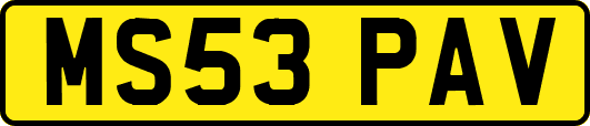 MS53PAV