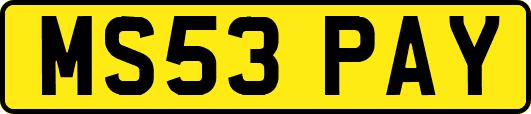 MS53PAY