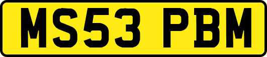 MS53PBM