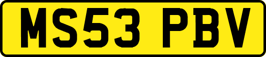 MS53PBV