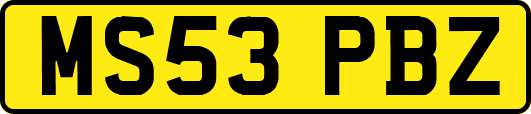 MS53PBZ