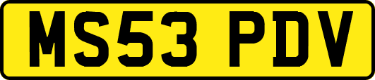 MS53PDV