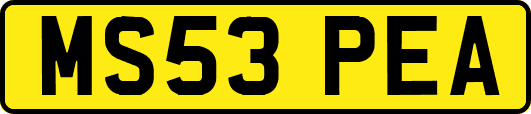 MS53PEA