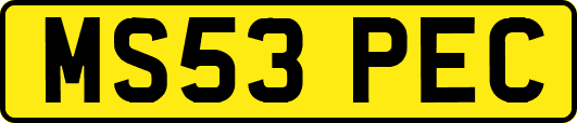 MS53PEC