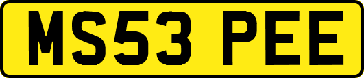 MS53PEE