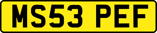 MS53PEF