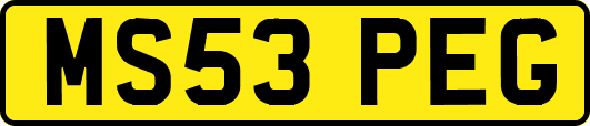 MS53PEG