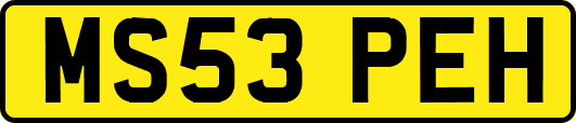 MS53PEH