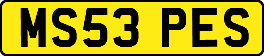 MS53PES