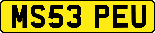 MS53PEU