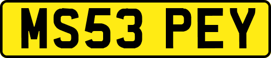 MS53PEY