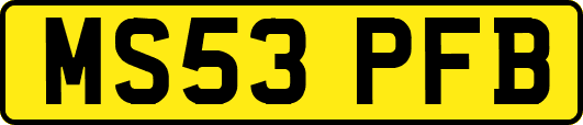 MS53PFB