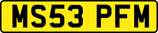 MS53PFM